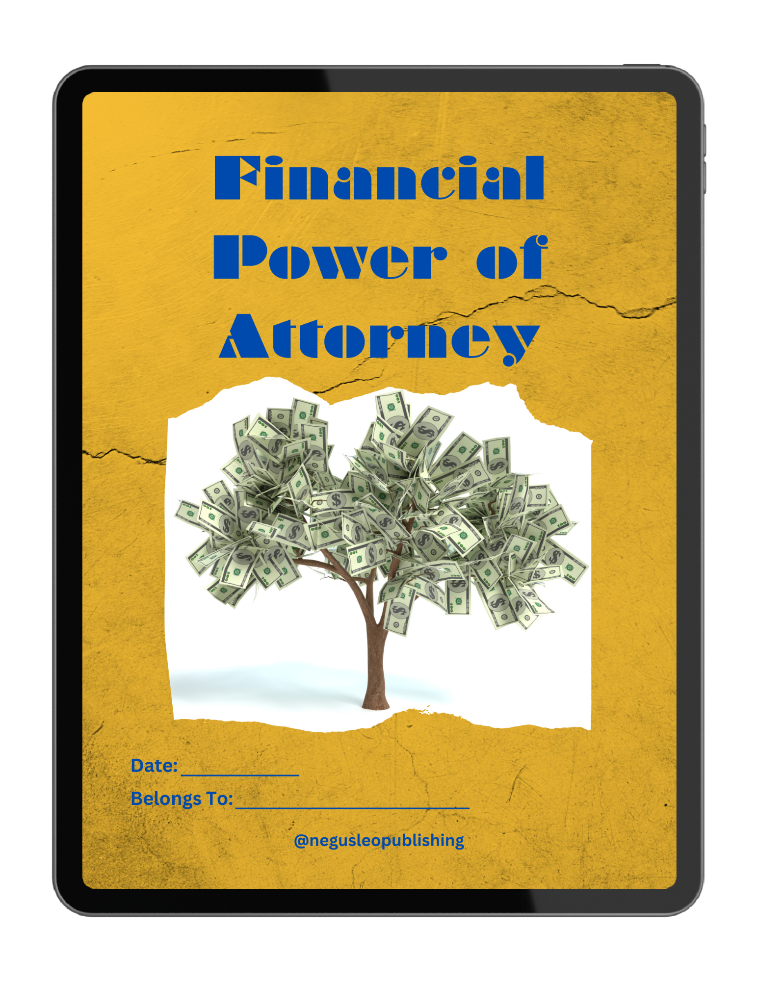 Financial Power of Attorney Form