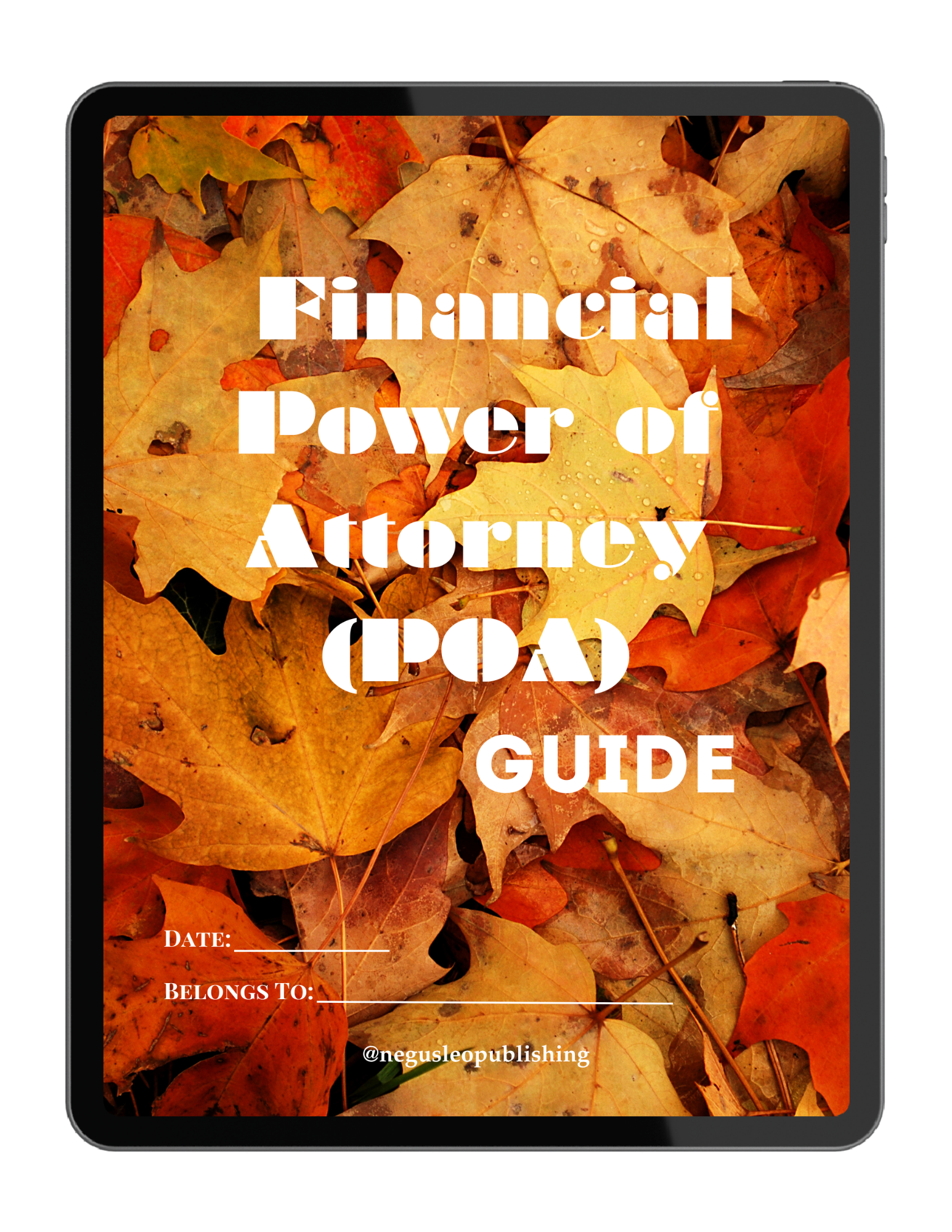 Financial Power of Attorney (POA) Guide