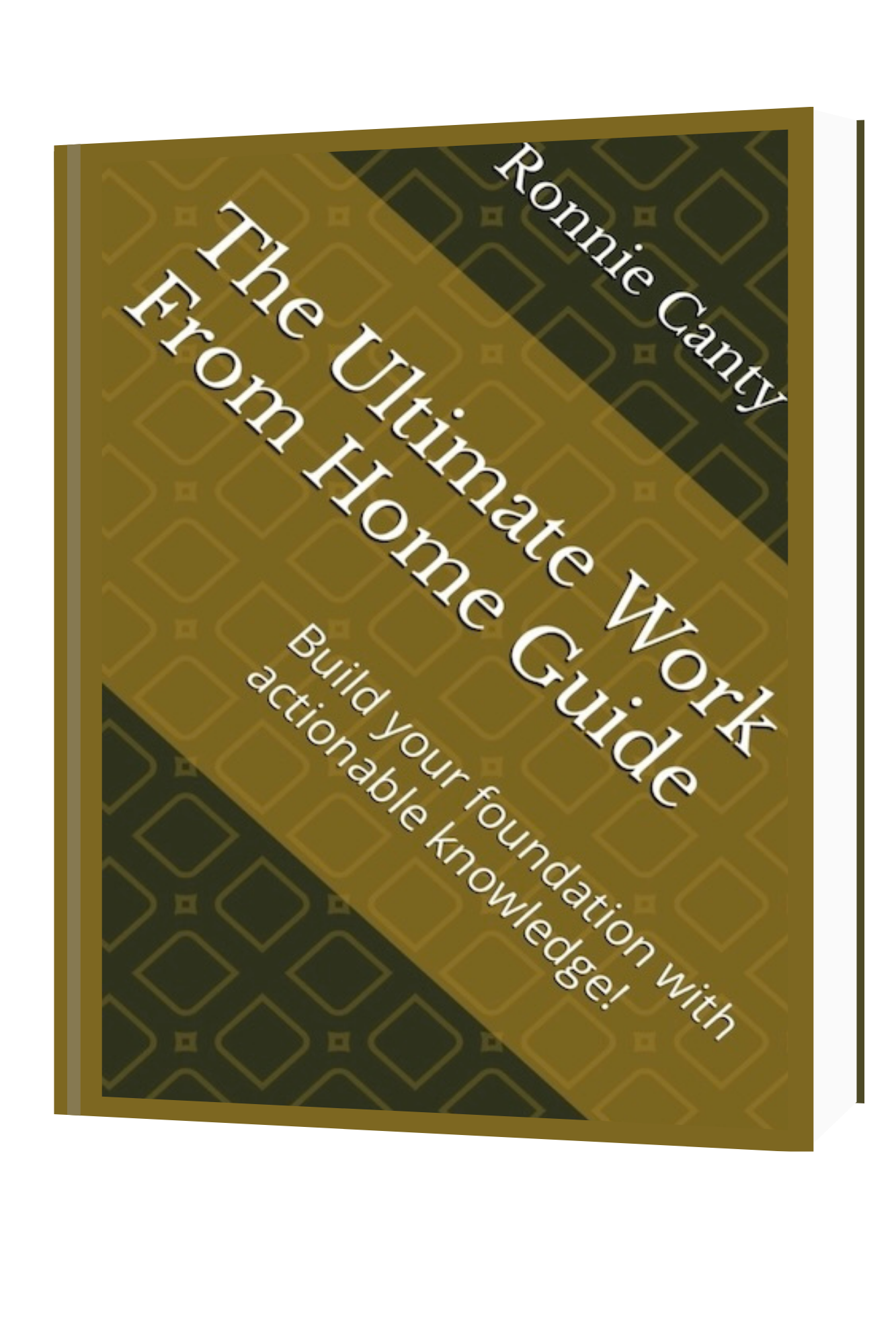 The Ultimate Guide For Working From Home: Building your foundation with actionable knowledge!